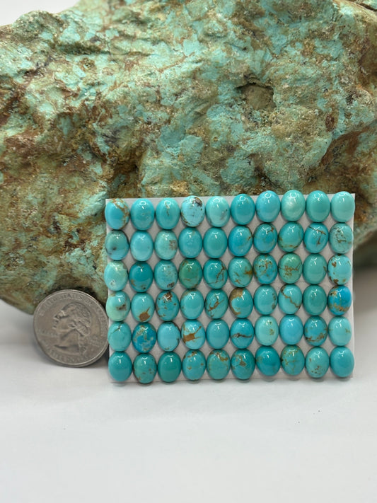 7x9 Oval Calibrated Cabs