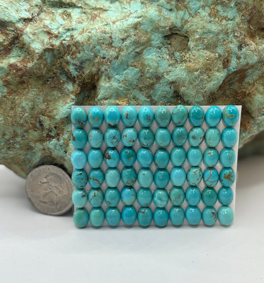 7x9 Oval Calibrated Cabs