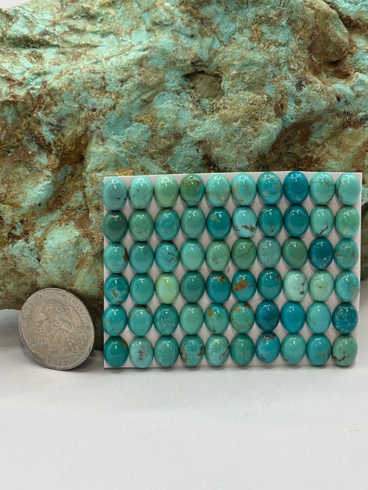 7x9 Oval Calibrated Cabs