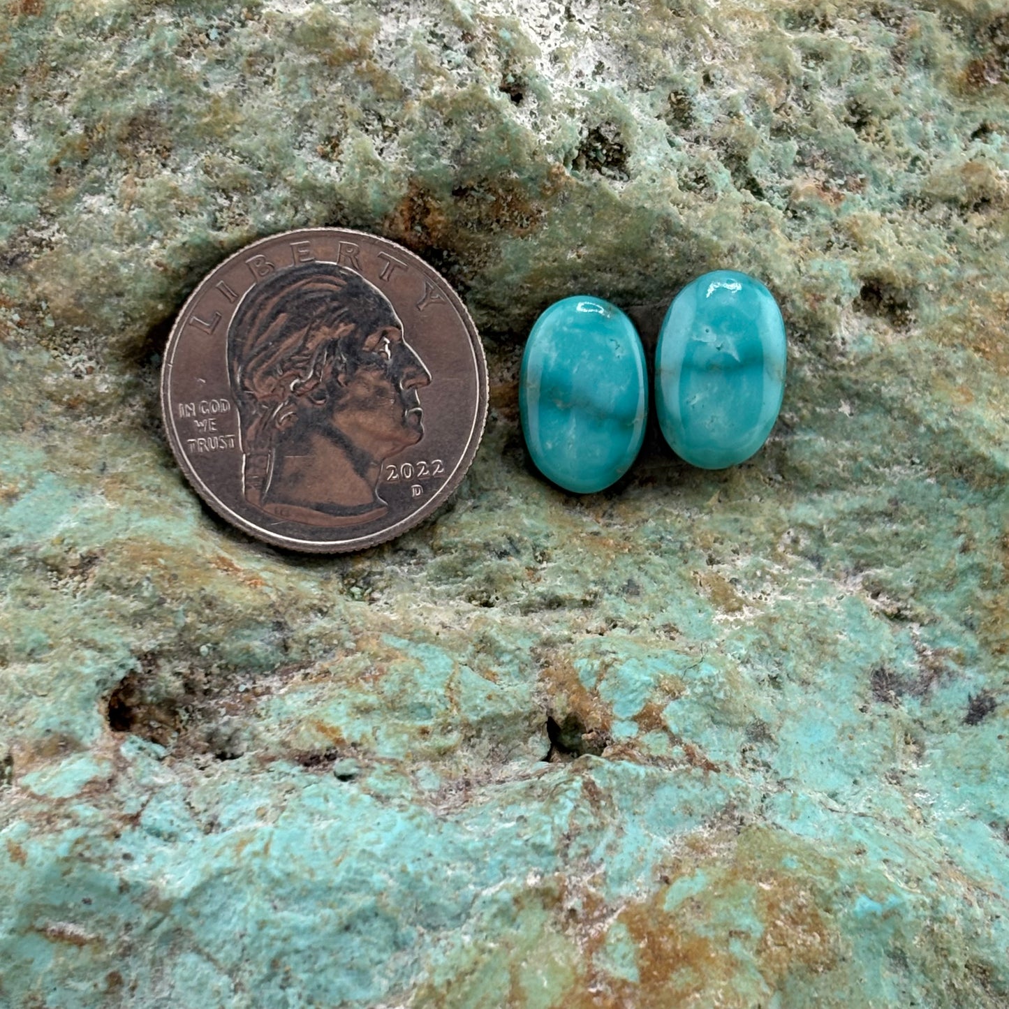Earring Set 309