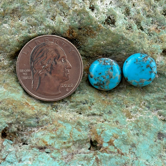Earring Set 313