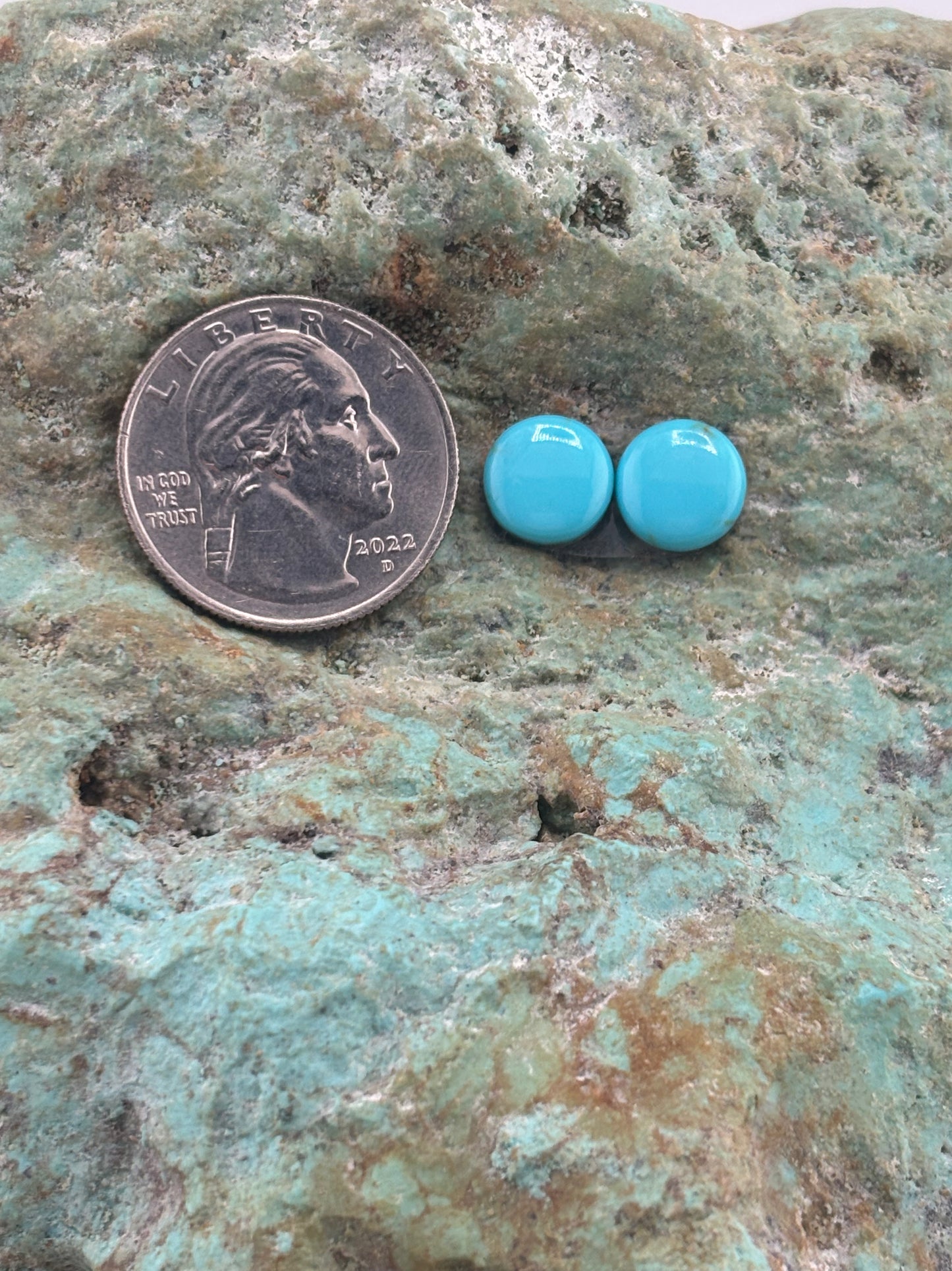 Earring Set 231