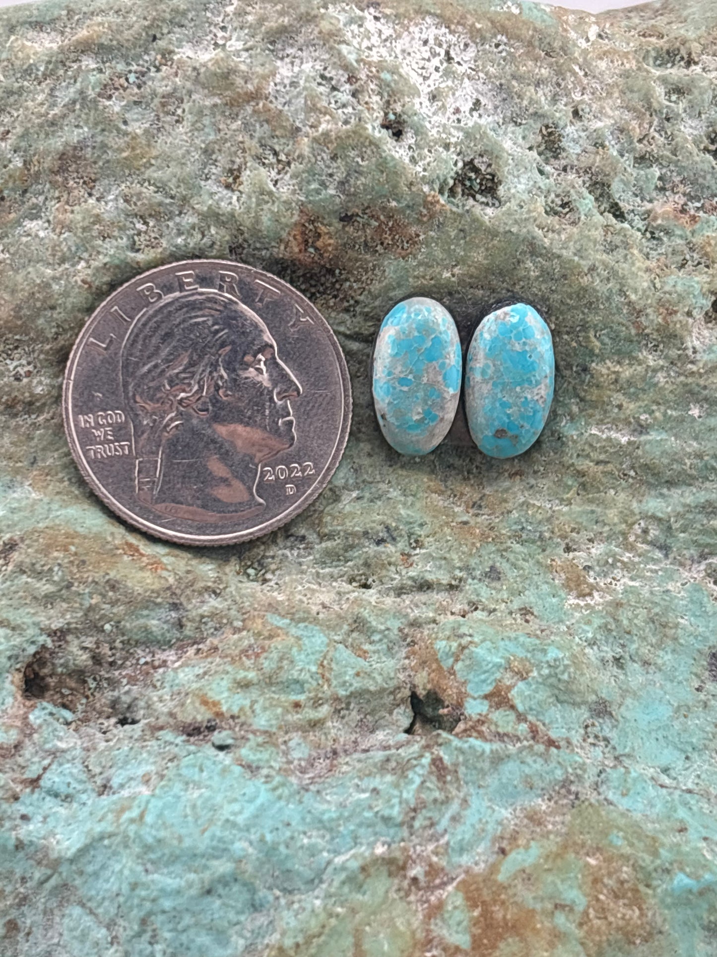 Earring Set 244