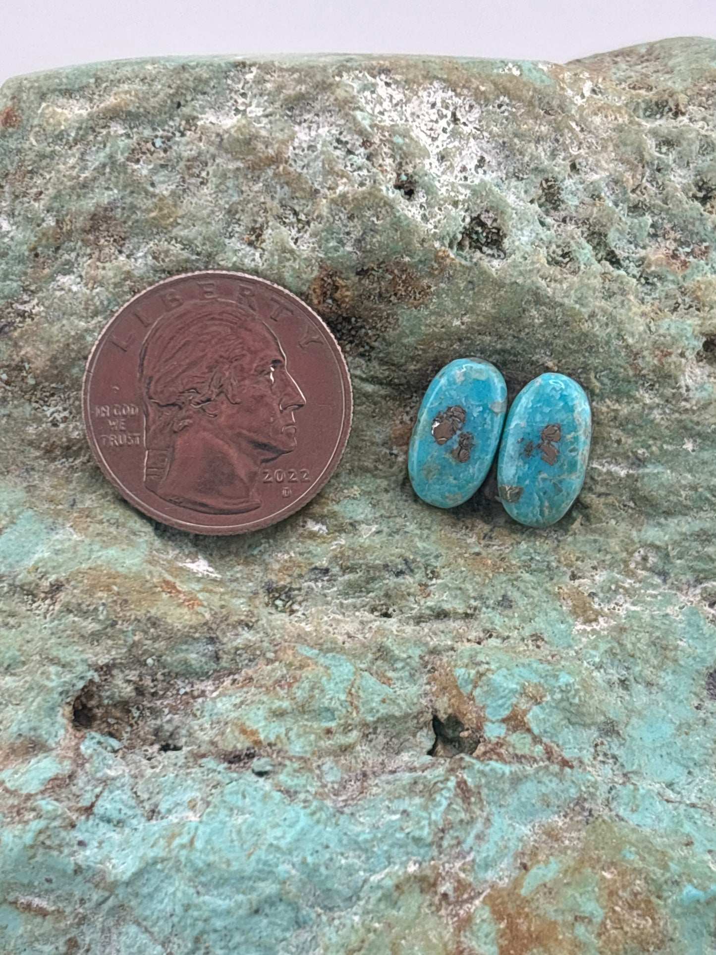 Earring Set 241