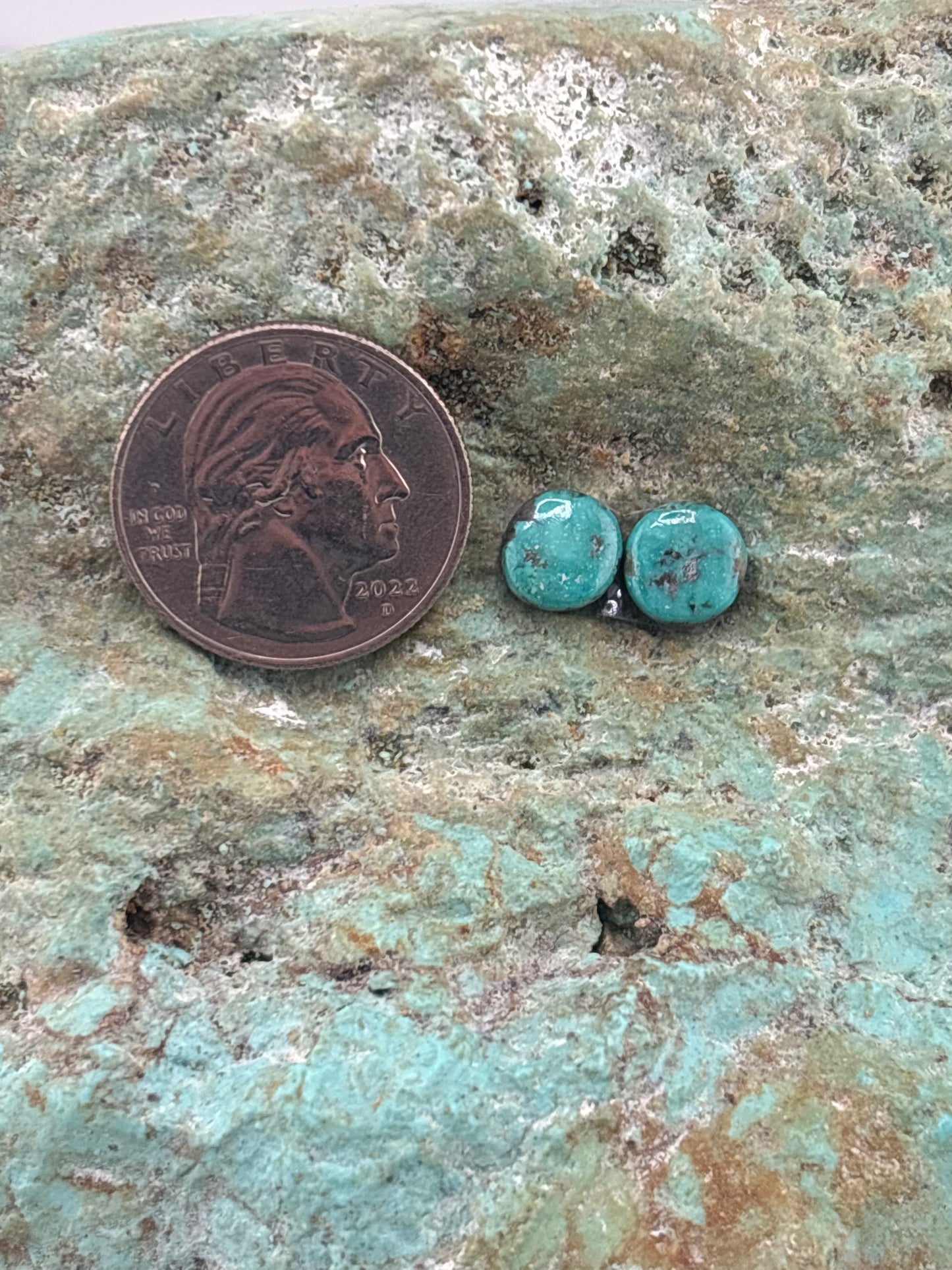 Earring Set 248