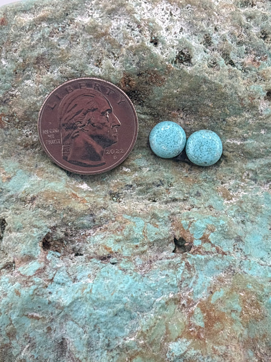 Earring Set 251