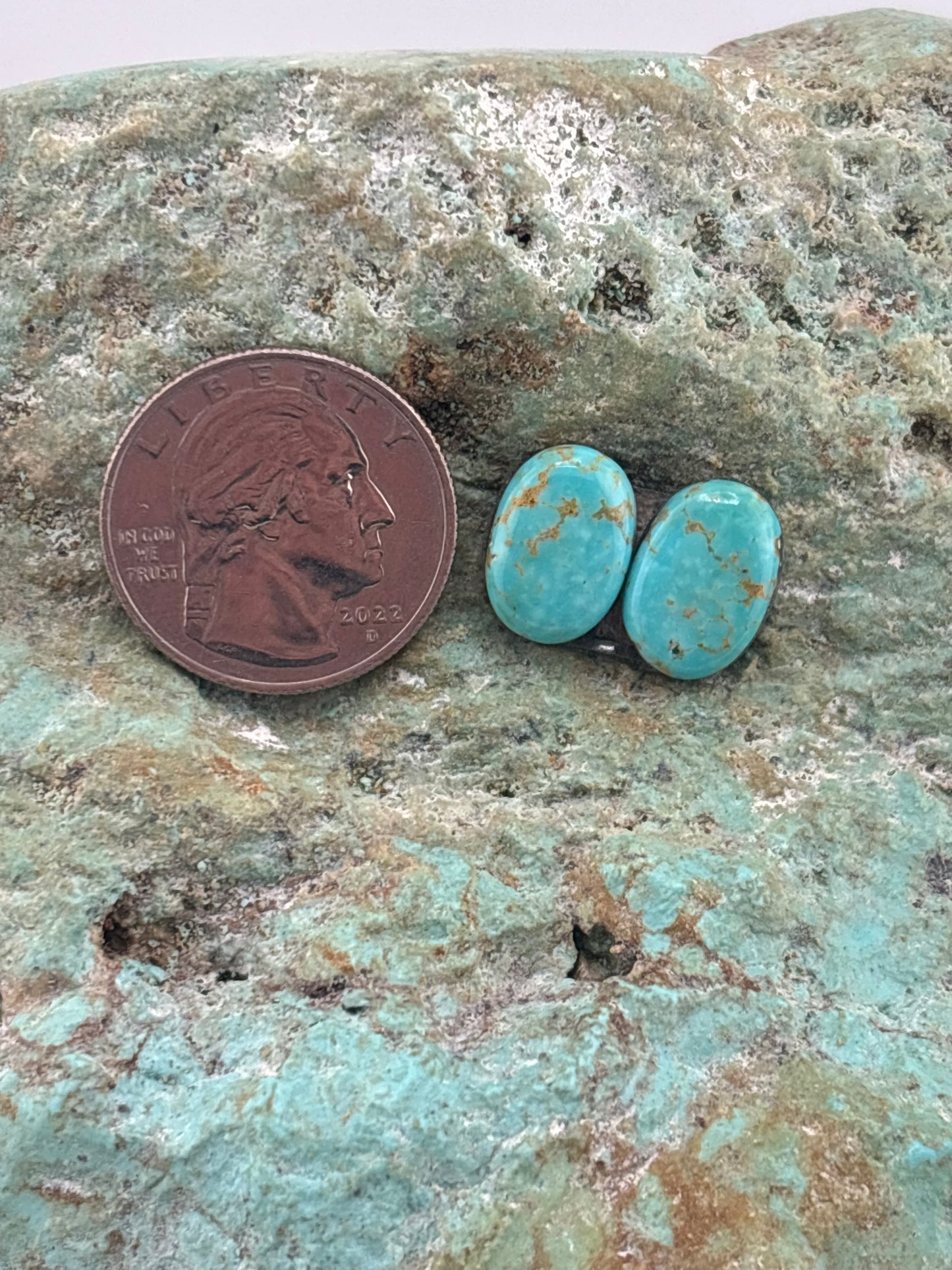 Earring Set 252