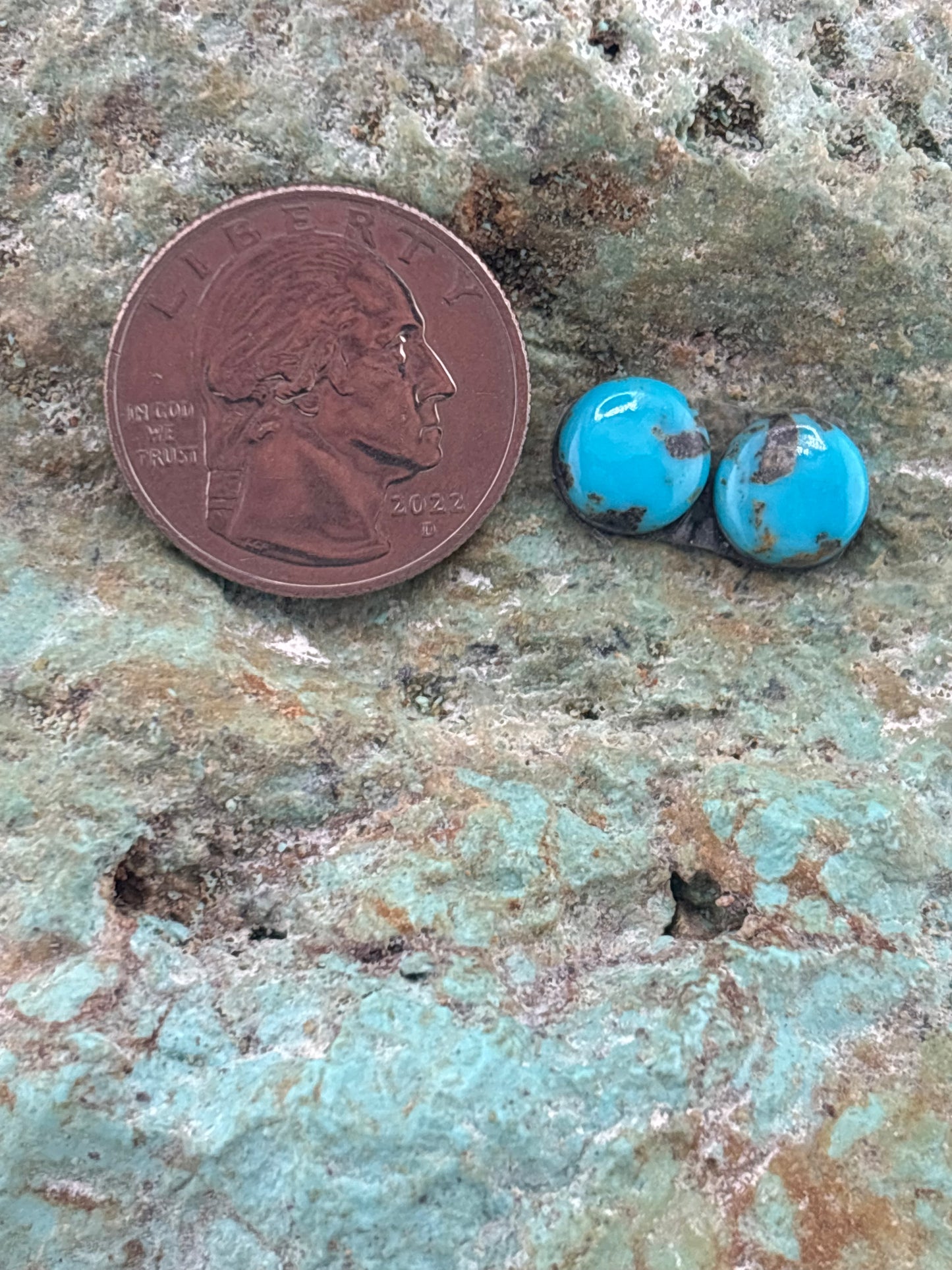 Earring Set 254