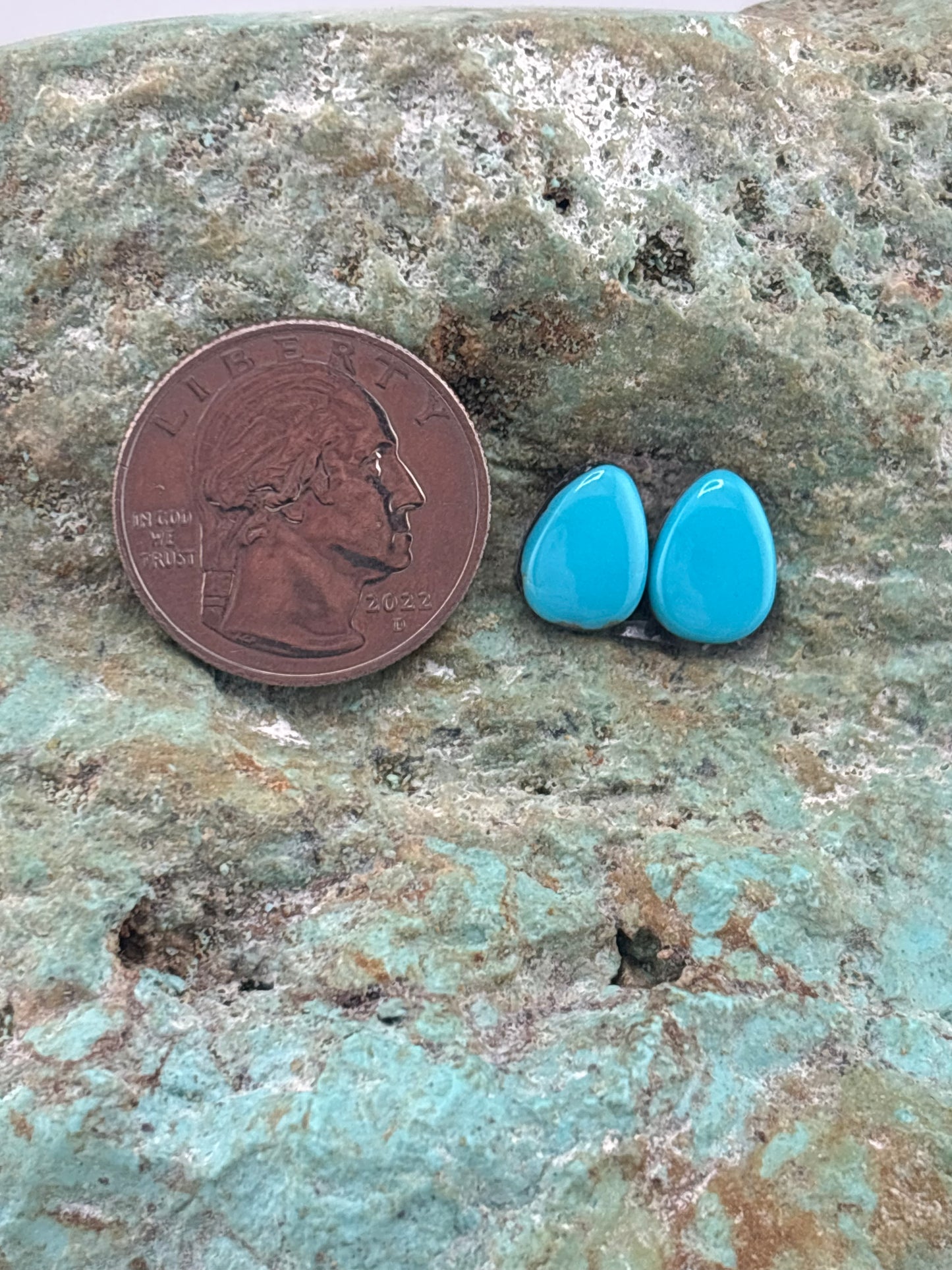 Earring Set 259