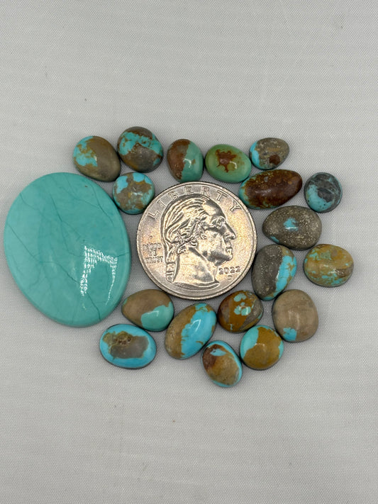 Sonoran turquoise Bargain Bag 7
