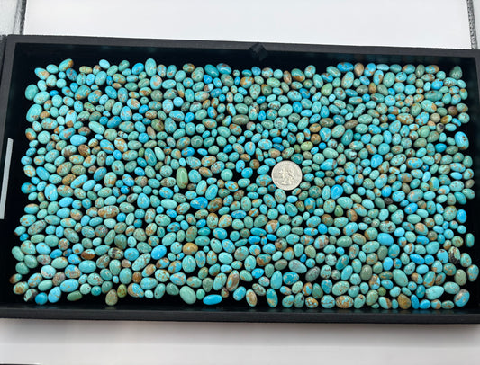Tray Of Freeform