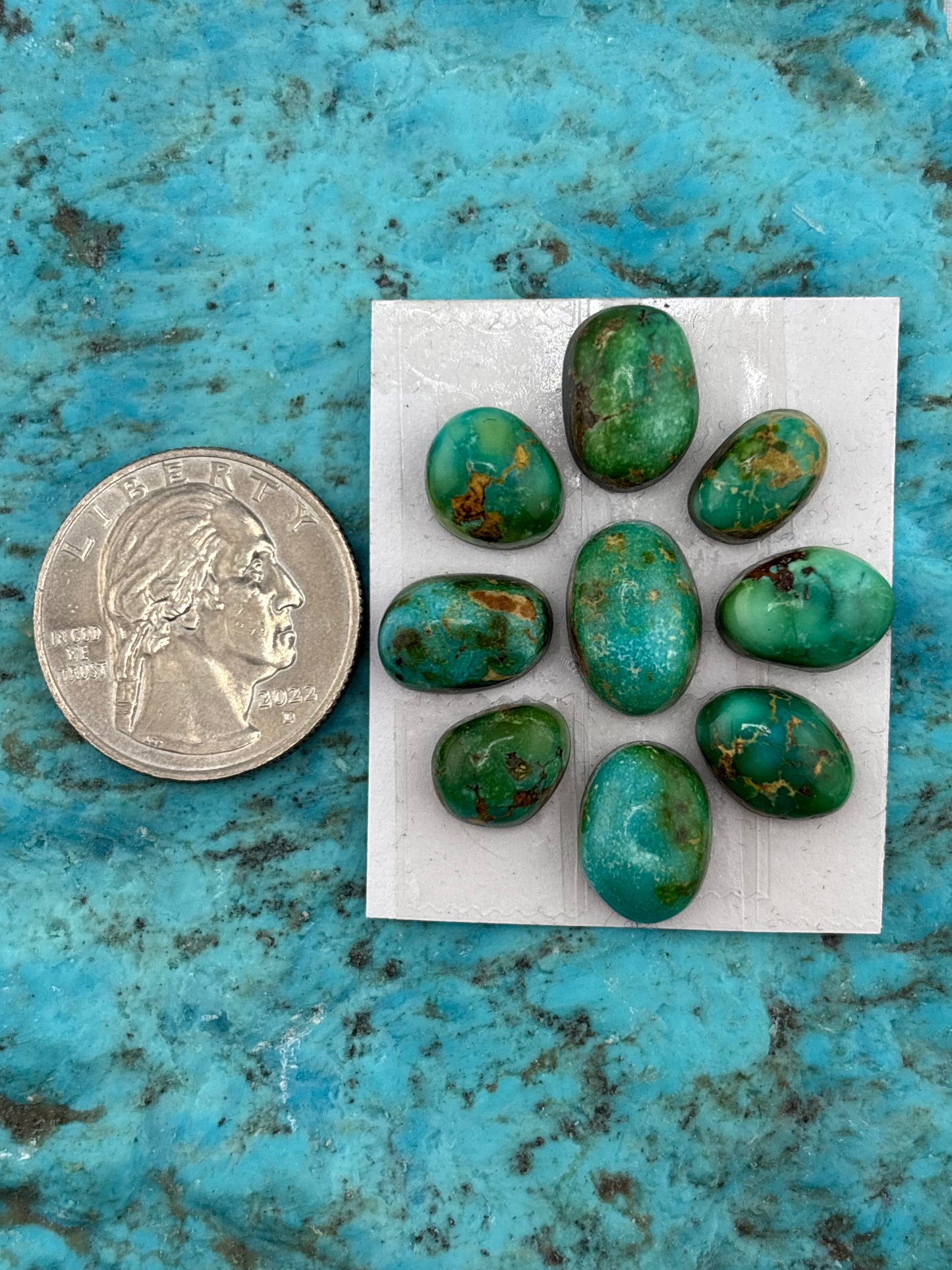 Cielo Freeform Set #240