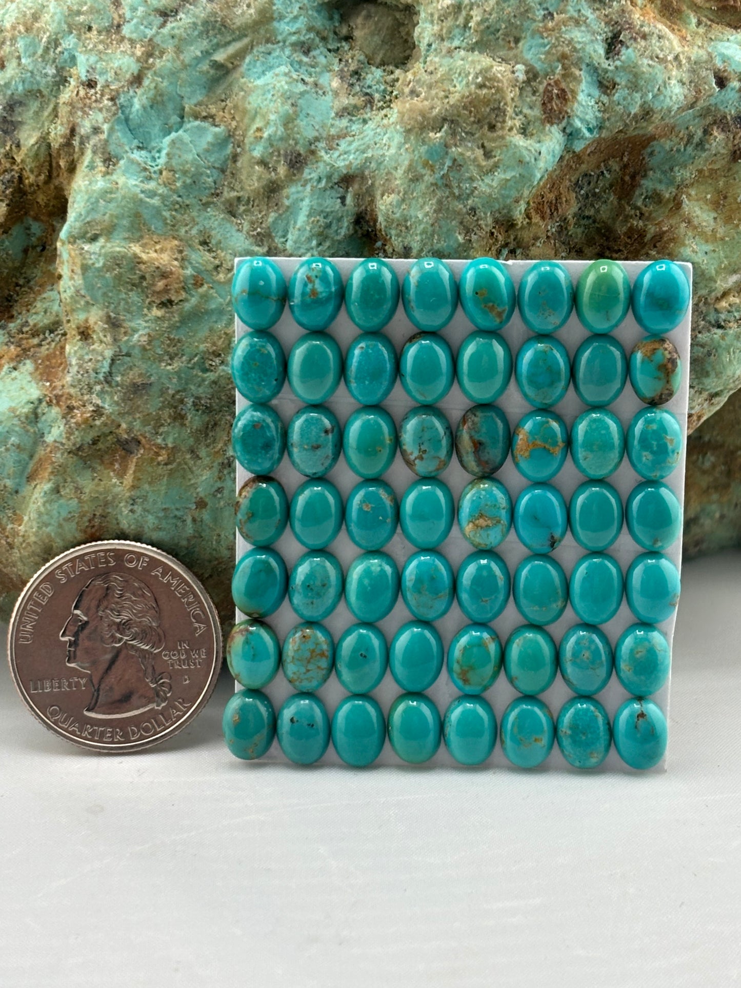 6x8 Oval Calibrated Cabs