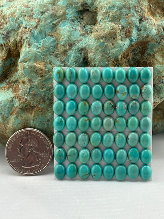 6x8 Oval calibrated Cabs
