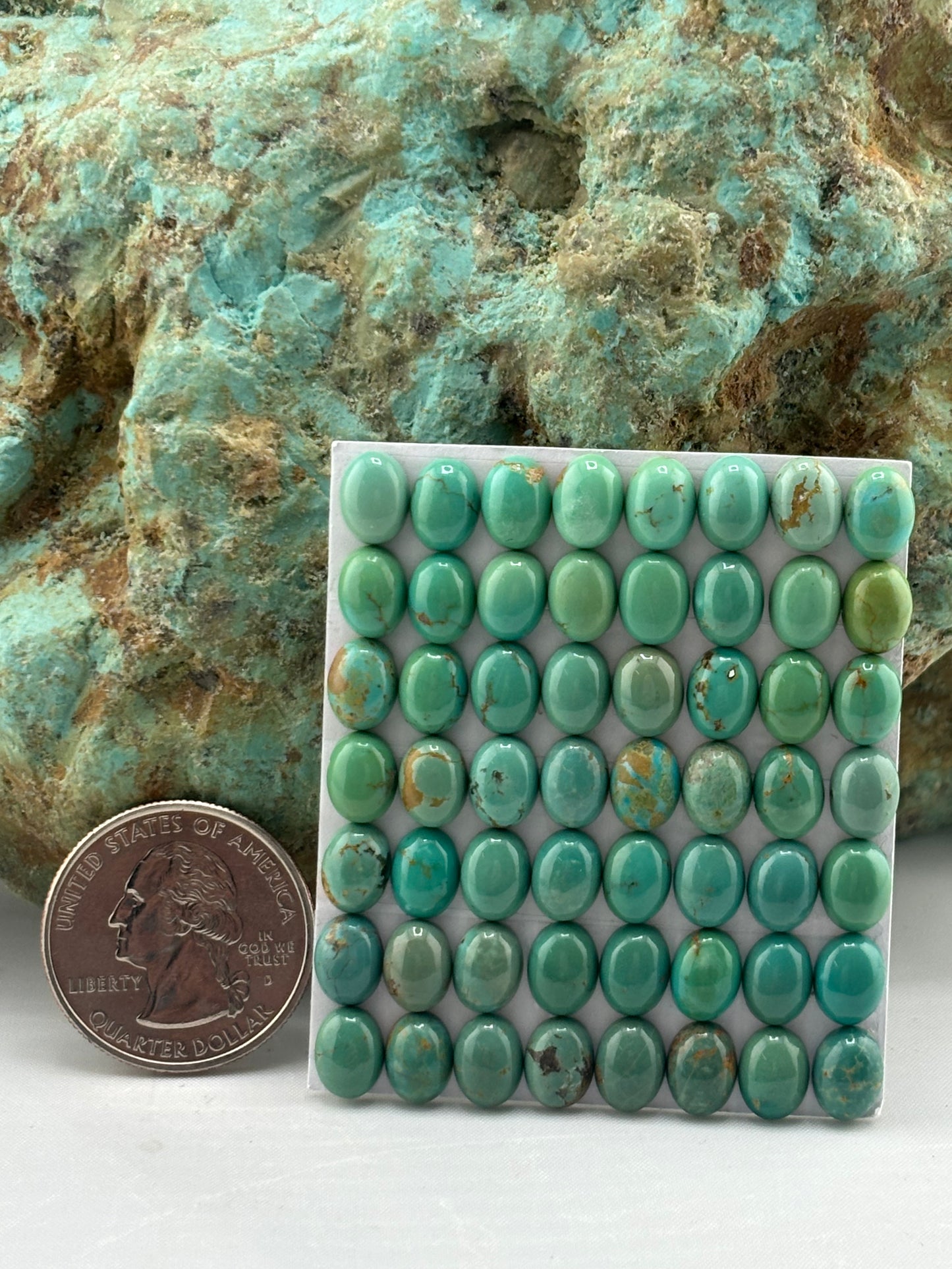 6x8 Oval Calibrated Cabs