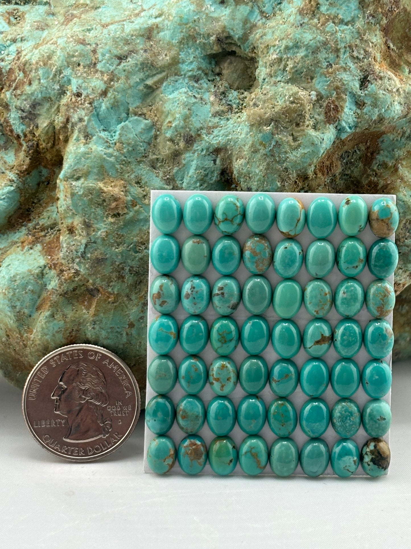 6x8 Oval Calibrated Cabs