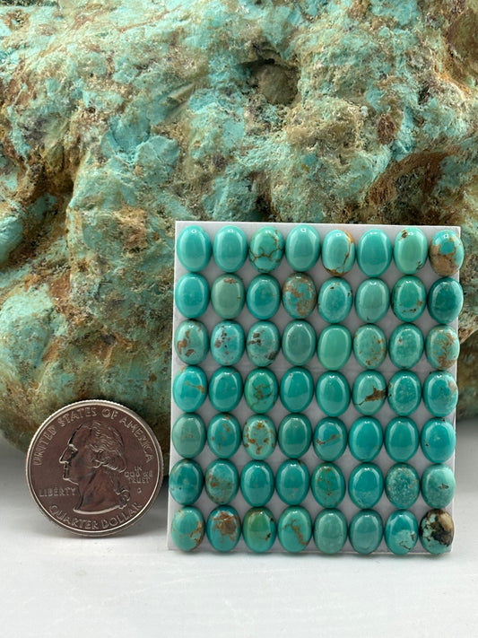 6x8 Oval Calibrated Cabs