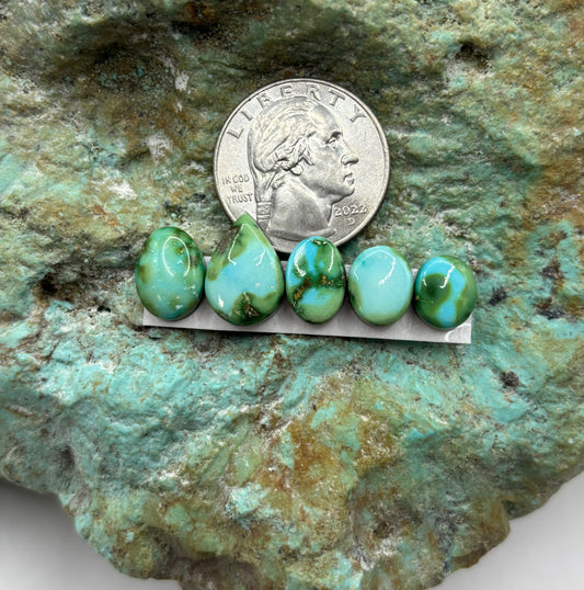 Freeform Cabochons 308