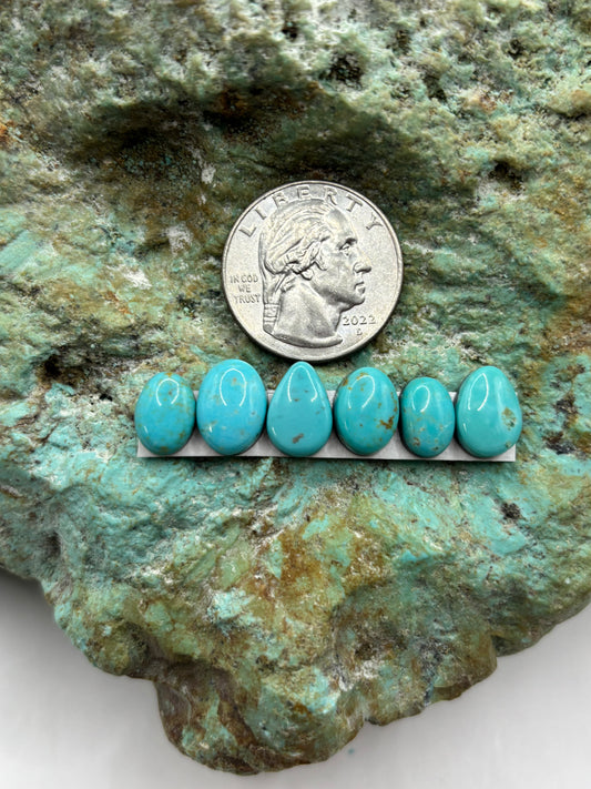 Freeform Cabochons 309