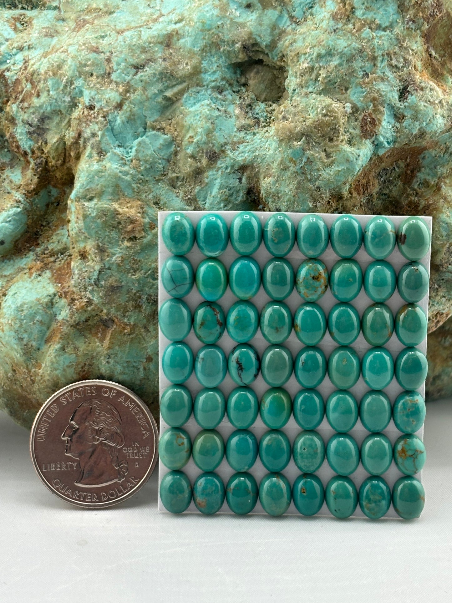 6x8 Oval Calibrated Cabs