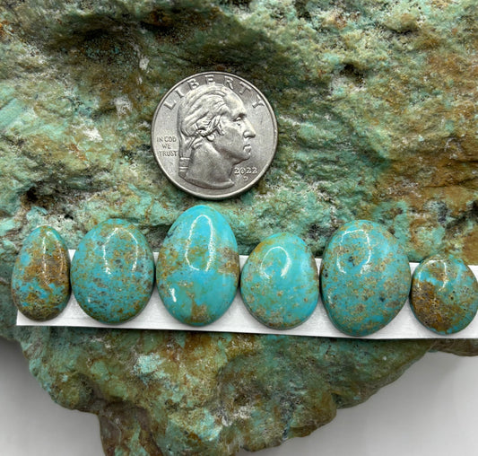 Freeform Cabochons 310