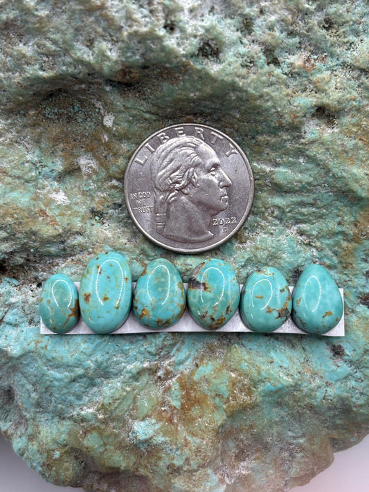 Freeform Cabochons 312