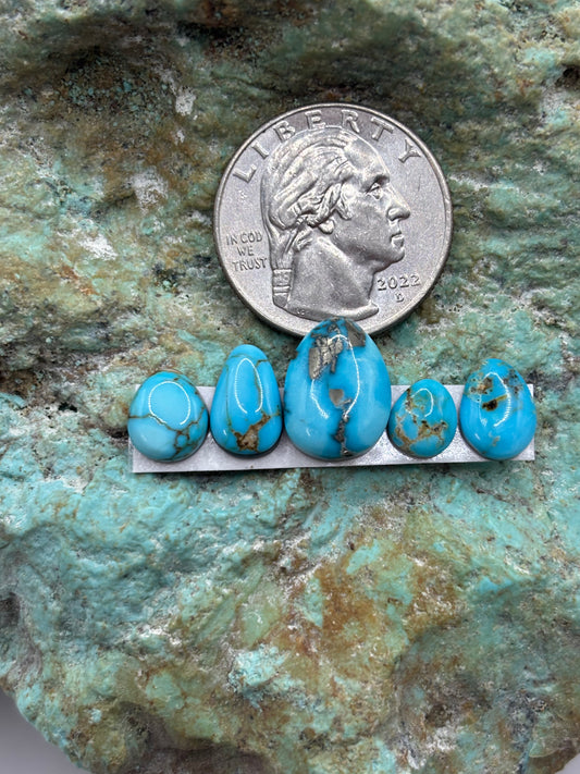 Freeform Cabochons 313