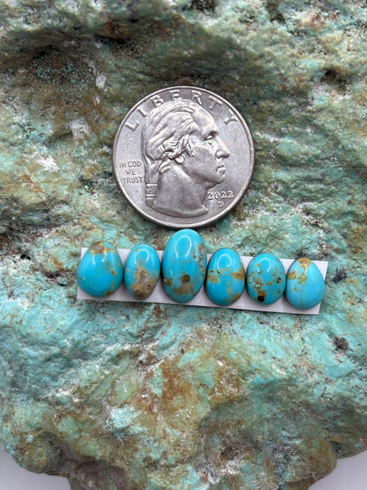 Freeform Cabochons 315