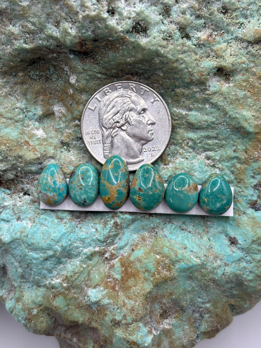 Freeform Cabochons 316