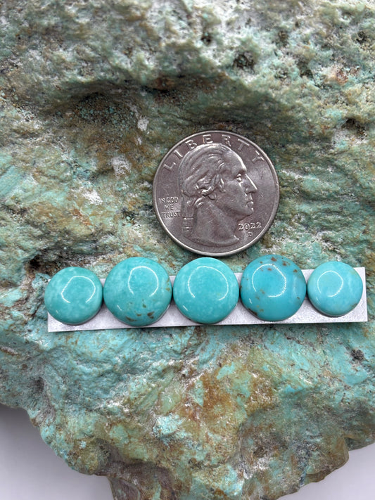 Freeform Cabochons 318