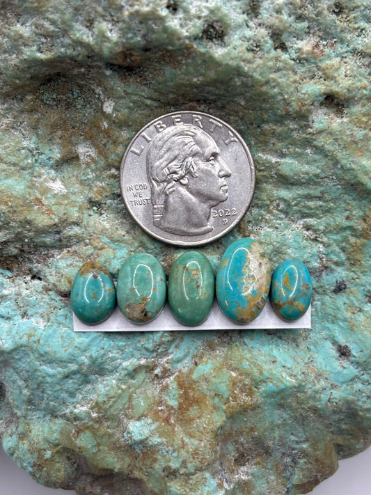 Freeform Cabochons 321