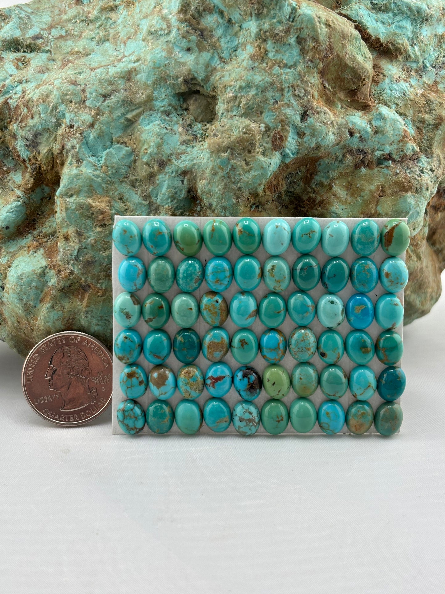 7x9 Oval Calibrated Cabs