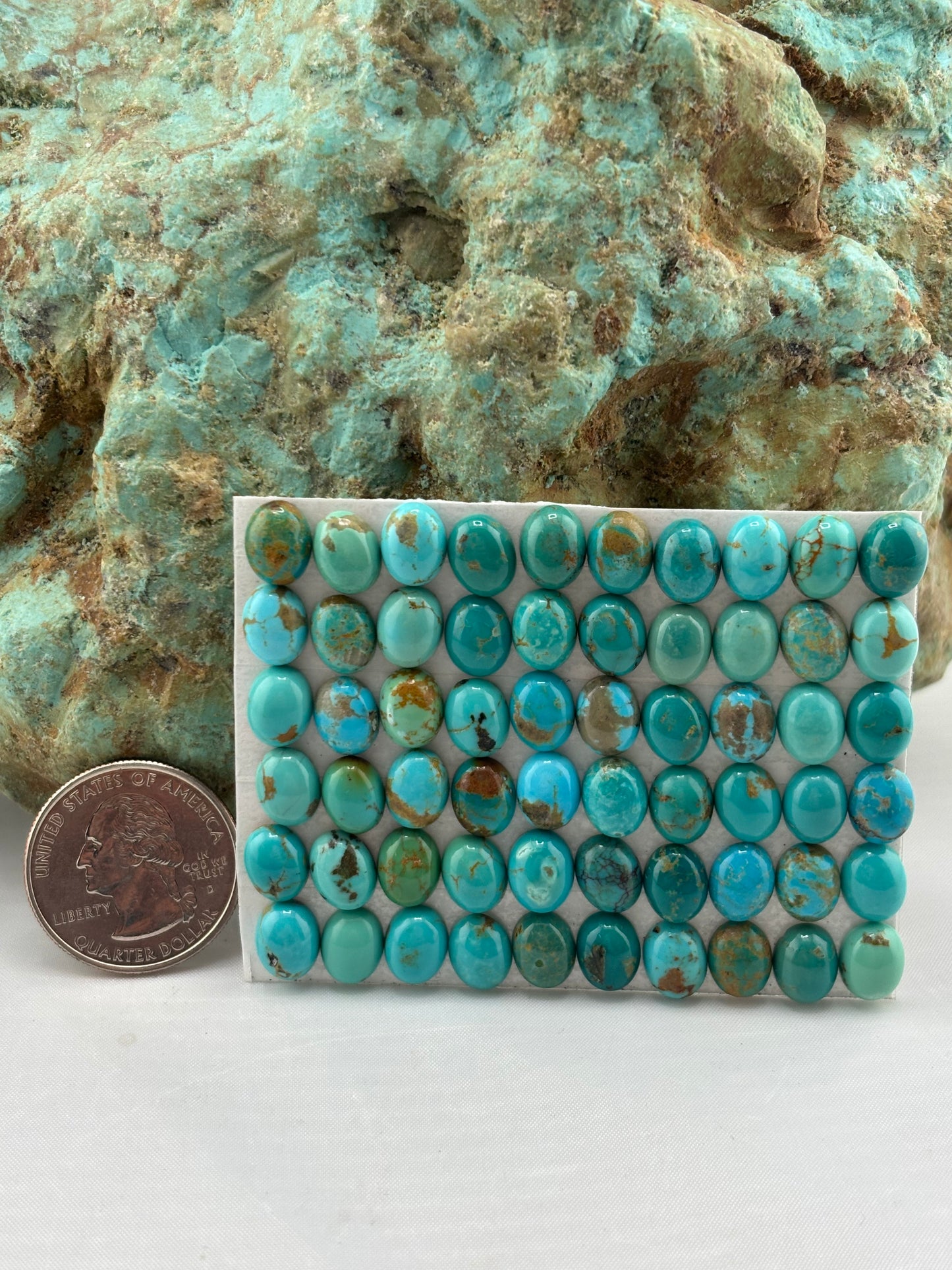 7x9 Oval Calibrated Cabs