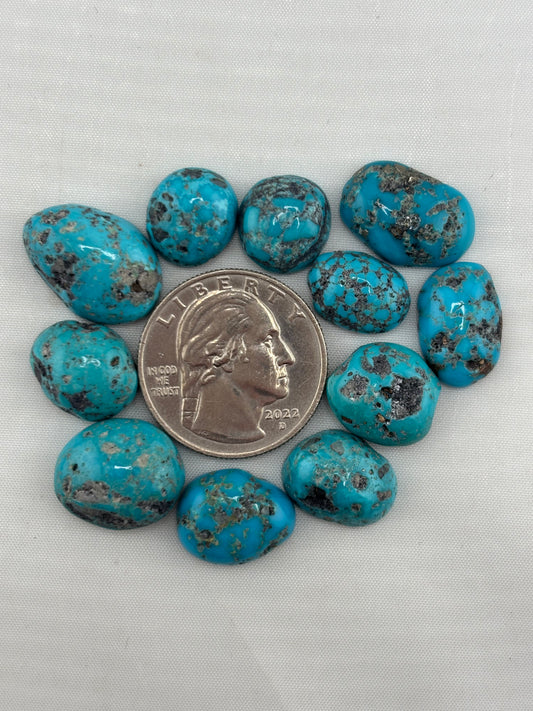 Freeform Hard/Rough Turquoise Finish Lot 6