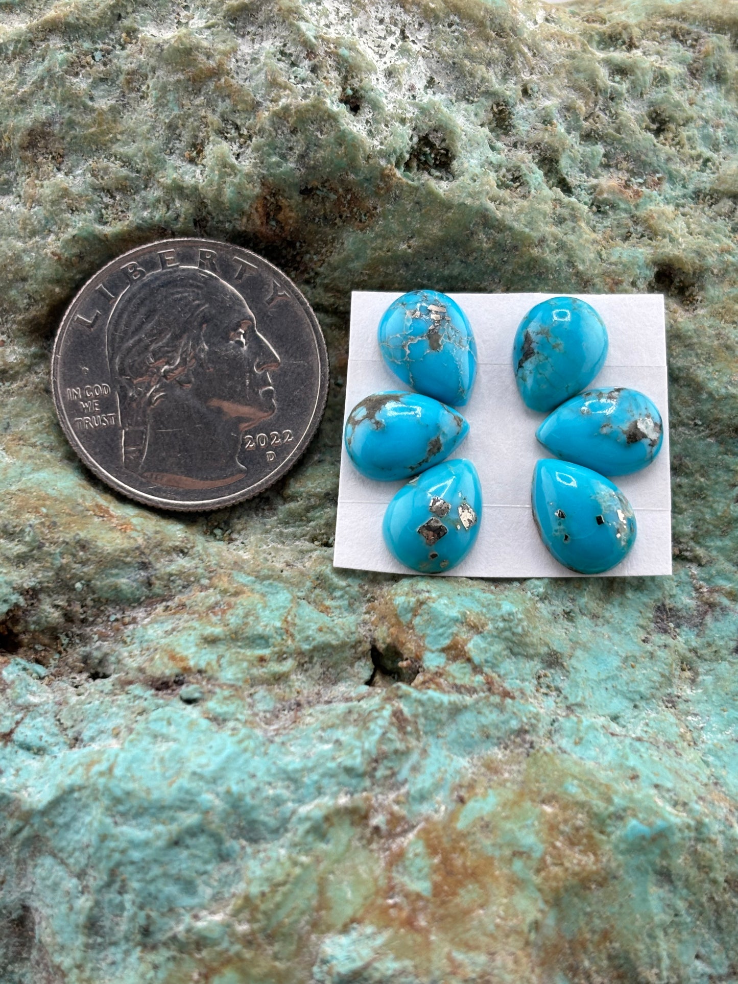 Petals 1 Calibrated Cab Set