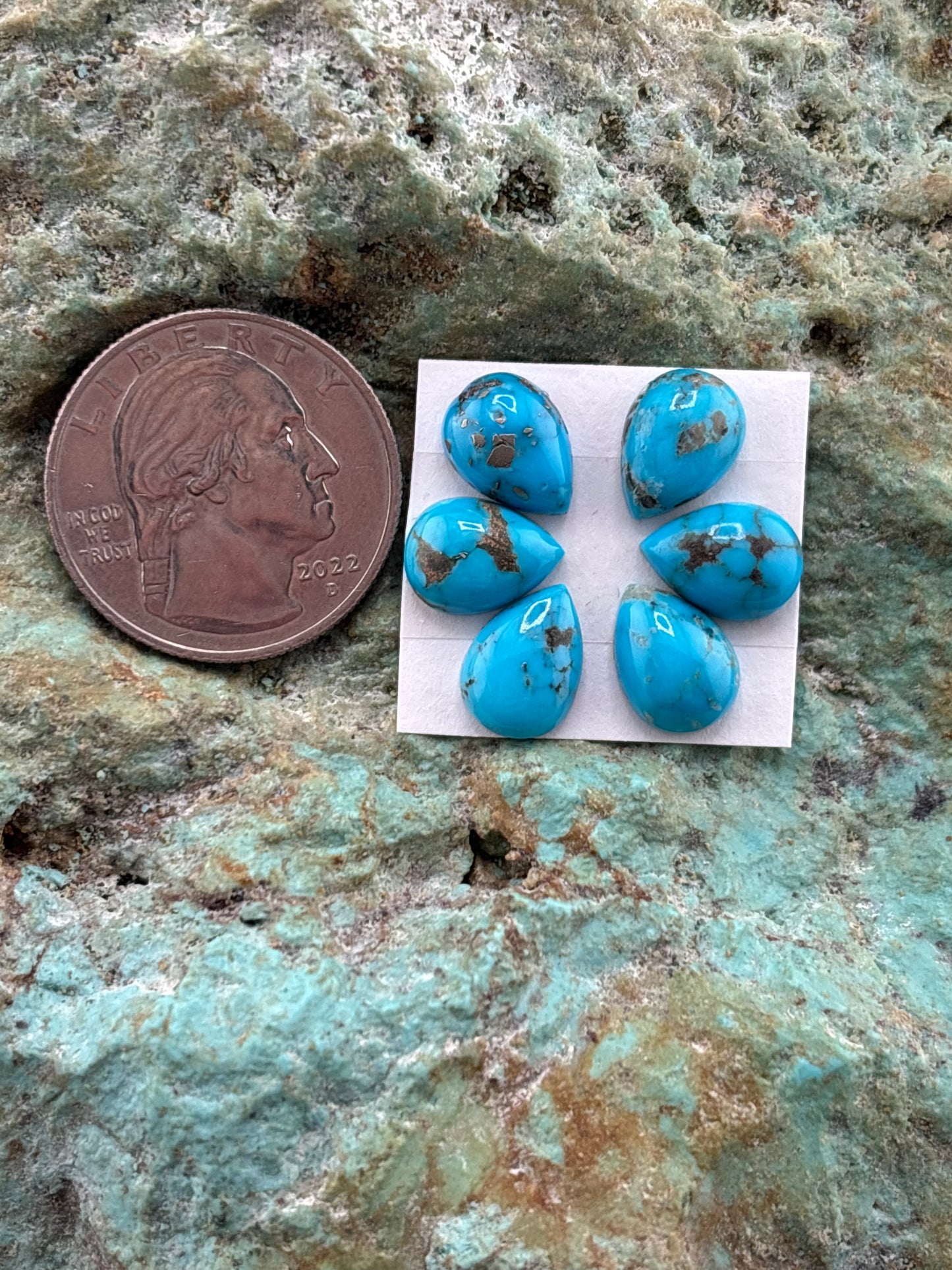 Petals 7 Calibrated Cab Set