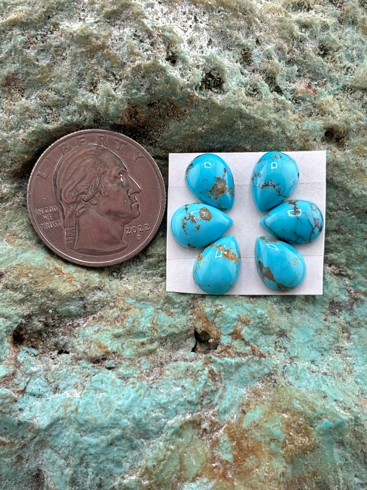 Petals 8 Calibrated Cab Set