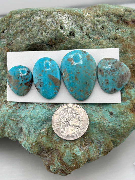 Freeform Cabochons 747