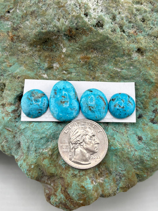Freeform Cabochons 745