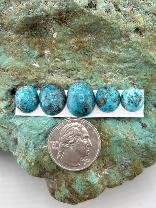 Freeform Cabochons 737