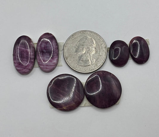 Purple Spiny Bargain Bag 1