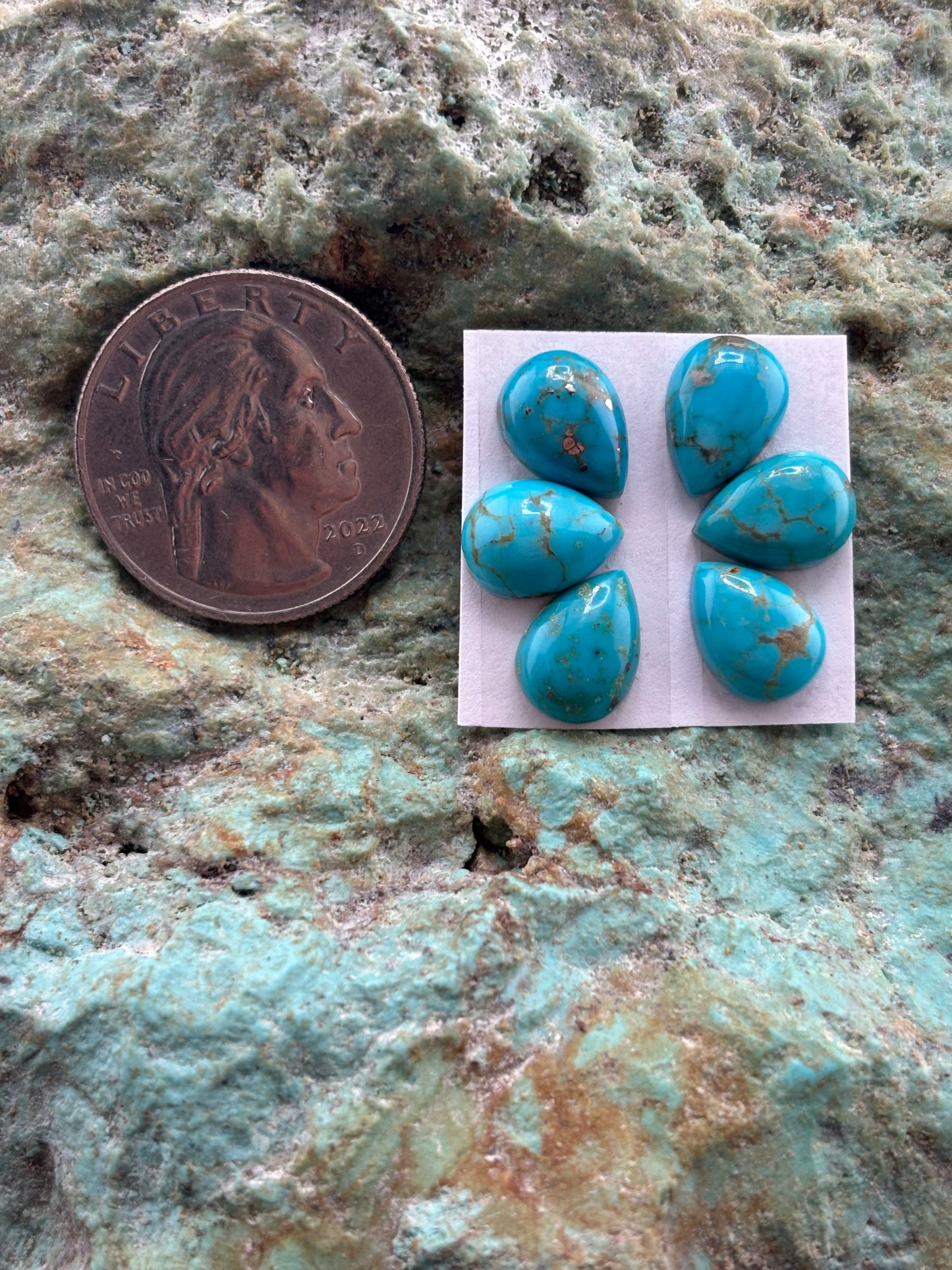 Petals 16 Calibrated Cab Set