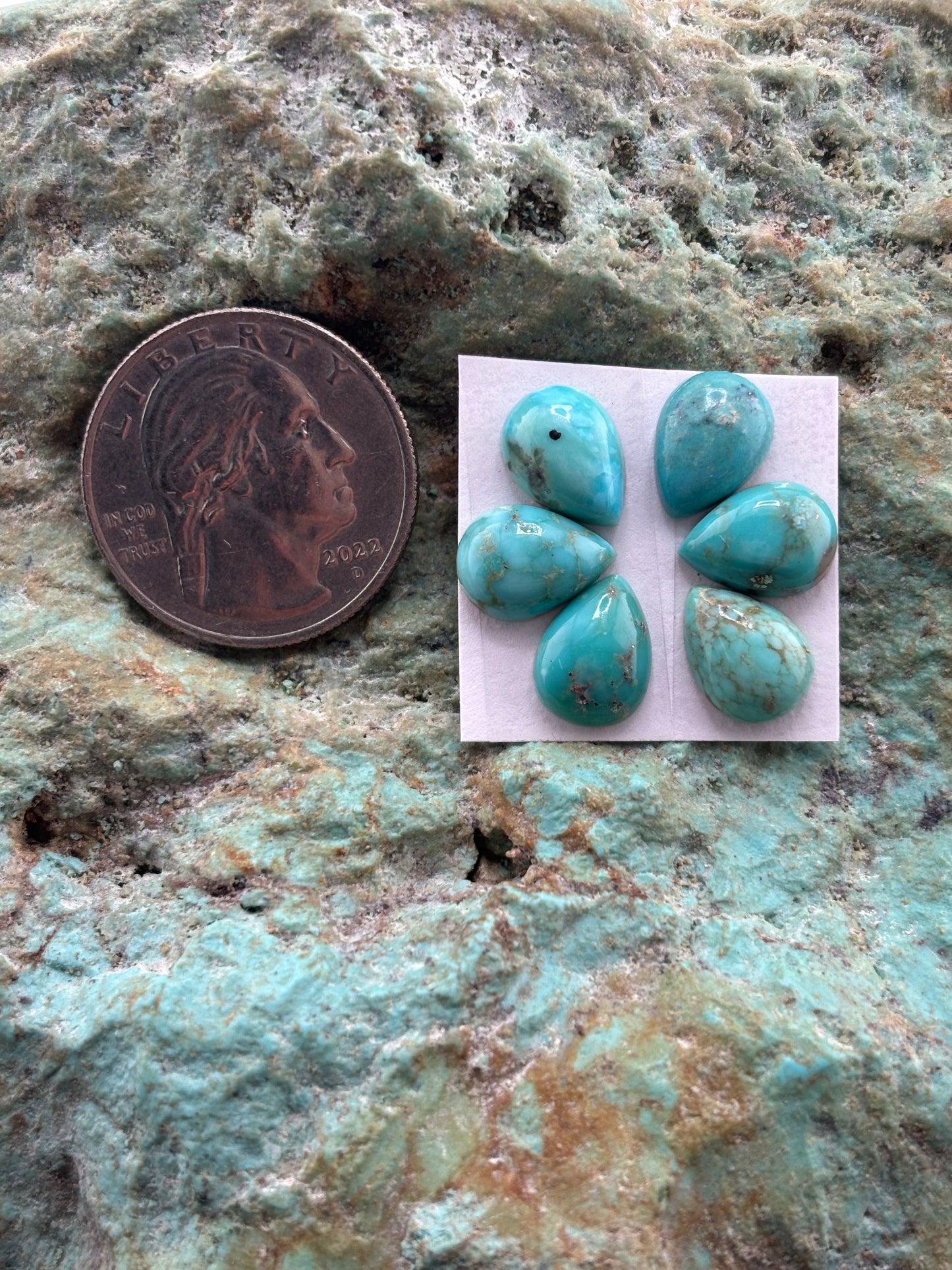 Petals 14 Calibrated Cab Set