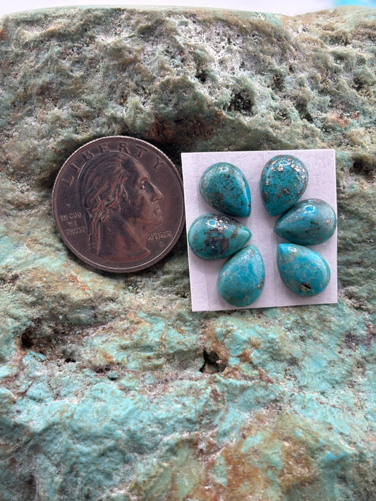 Petals 13 Calibrated Cab Set
