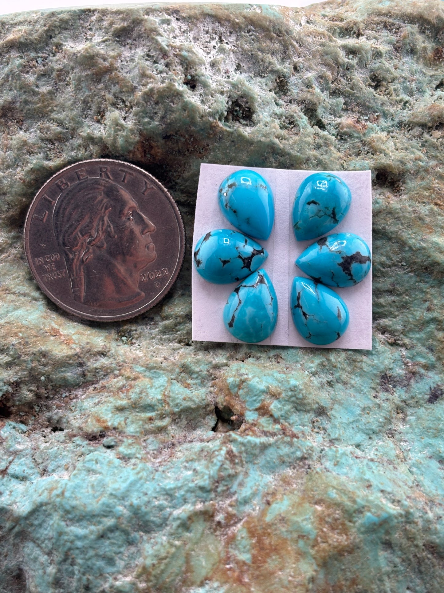 Petals 11 Calibrated Cab Set