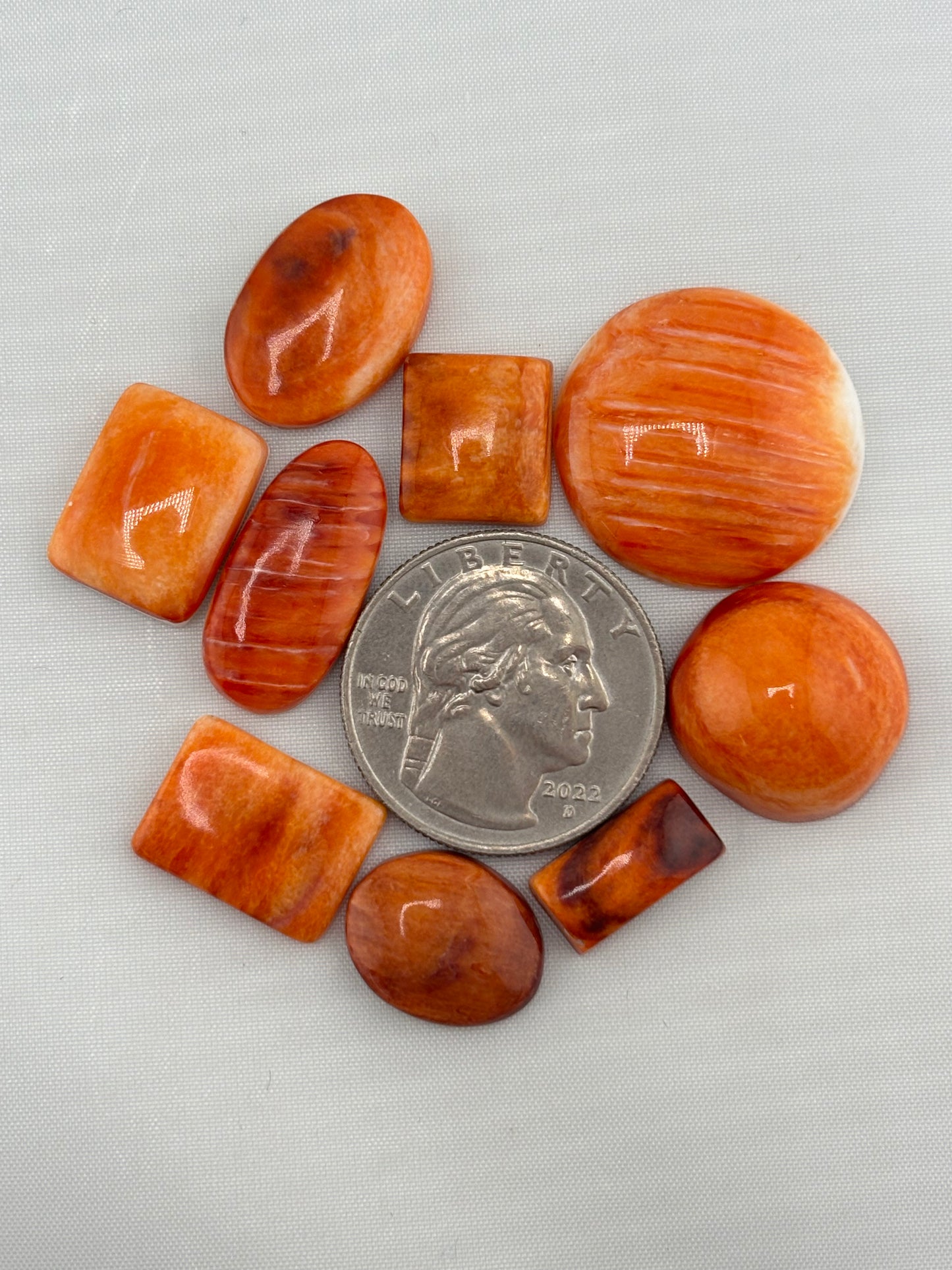 Orange Spiny Bargain Bag 2