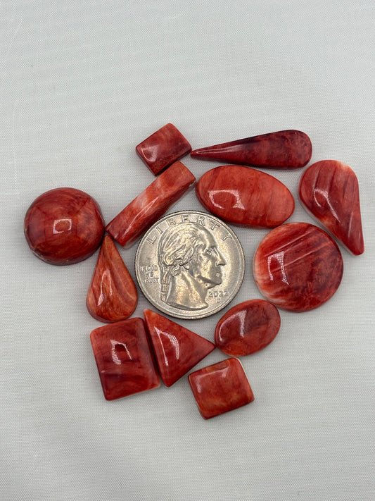 Red Spiny Bargain Bag 3