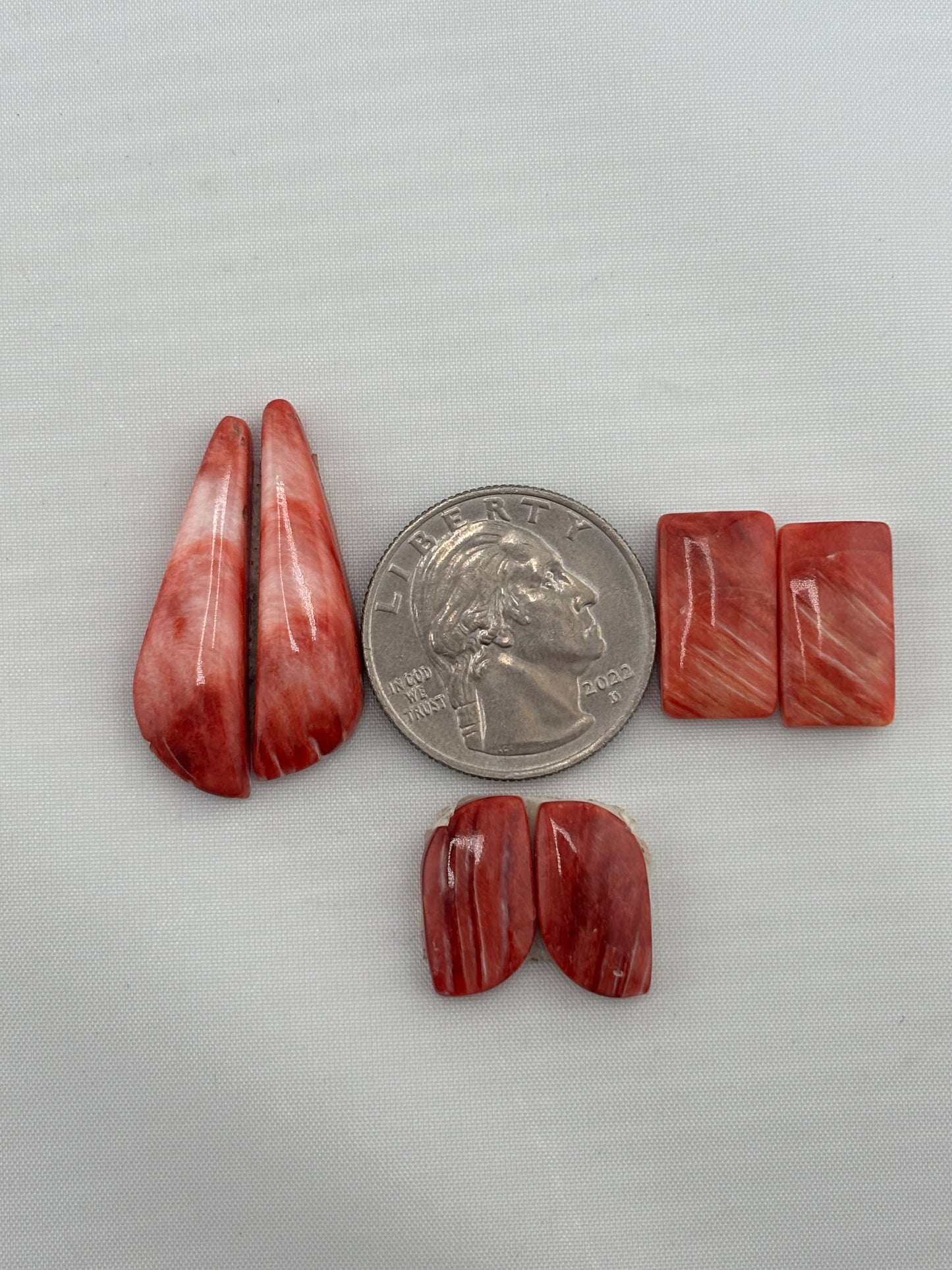 Red Spiny Bargain Bag 4