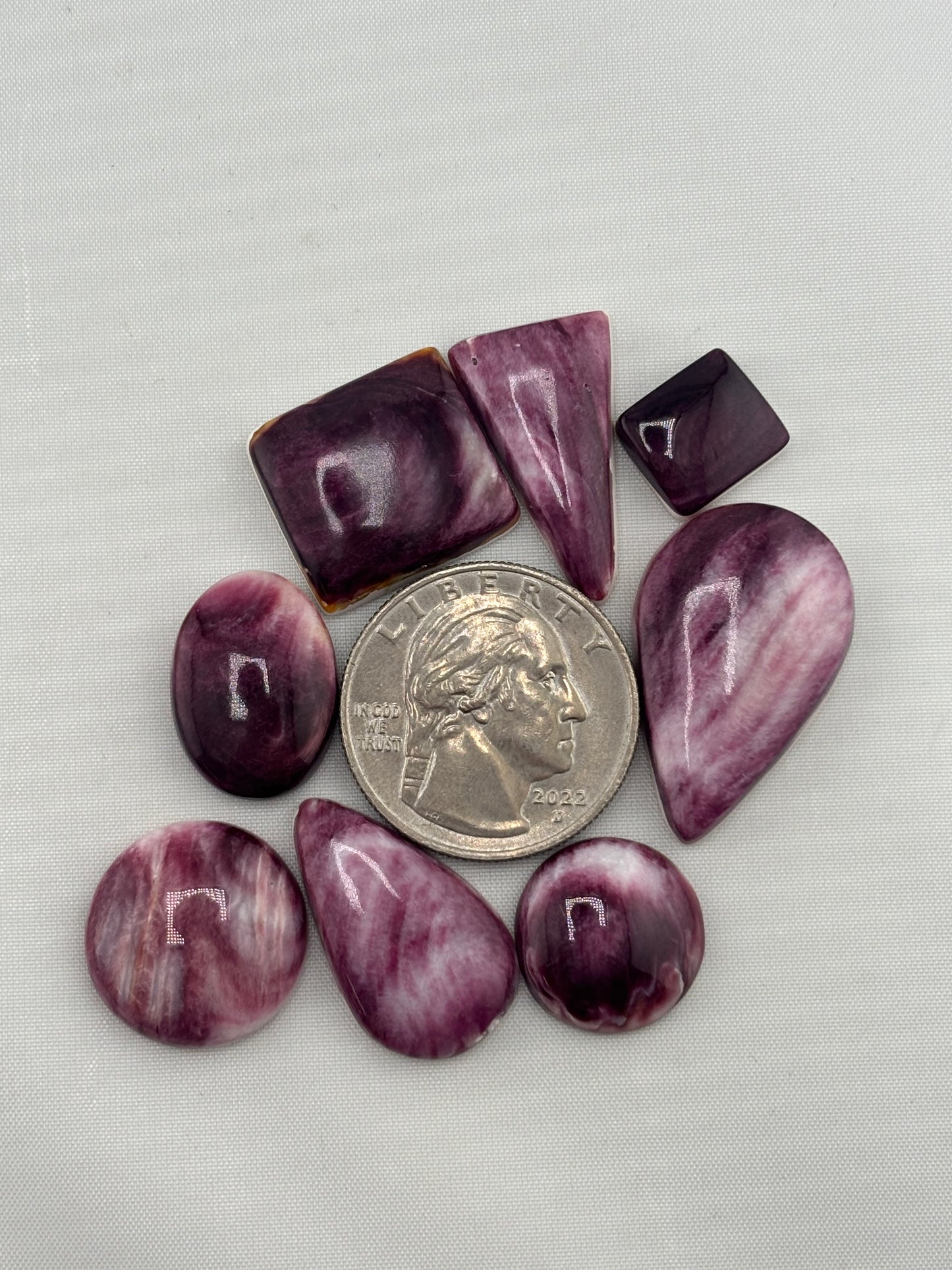Purple Spiny Bargain Bag 1