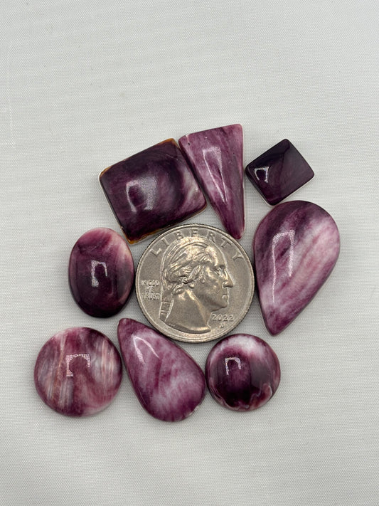 Purple Spiny Bargain Bag 1
